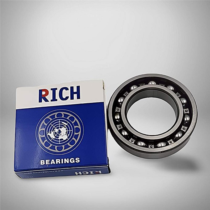 6204 RICH 20x47x14 6204 RICH